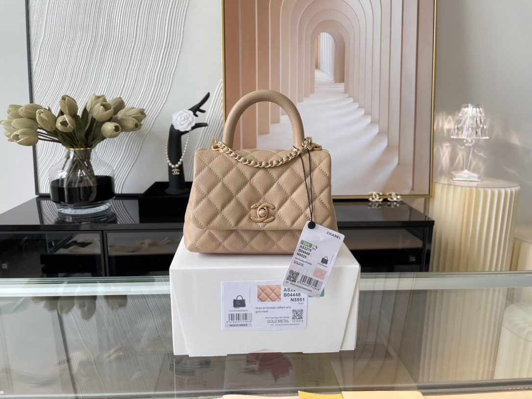 Ch@nel_Coco_Handlebag-13