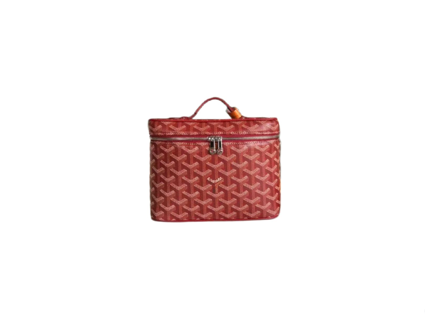 GOYARD_MUSE_VANITY_CASE_