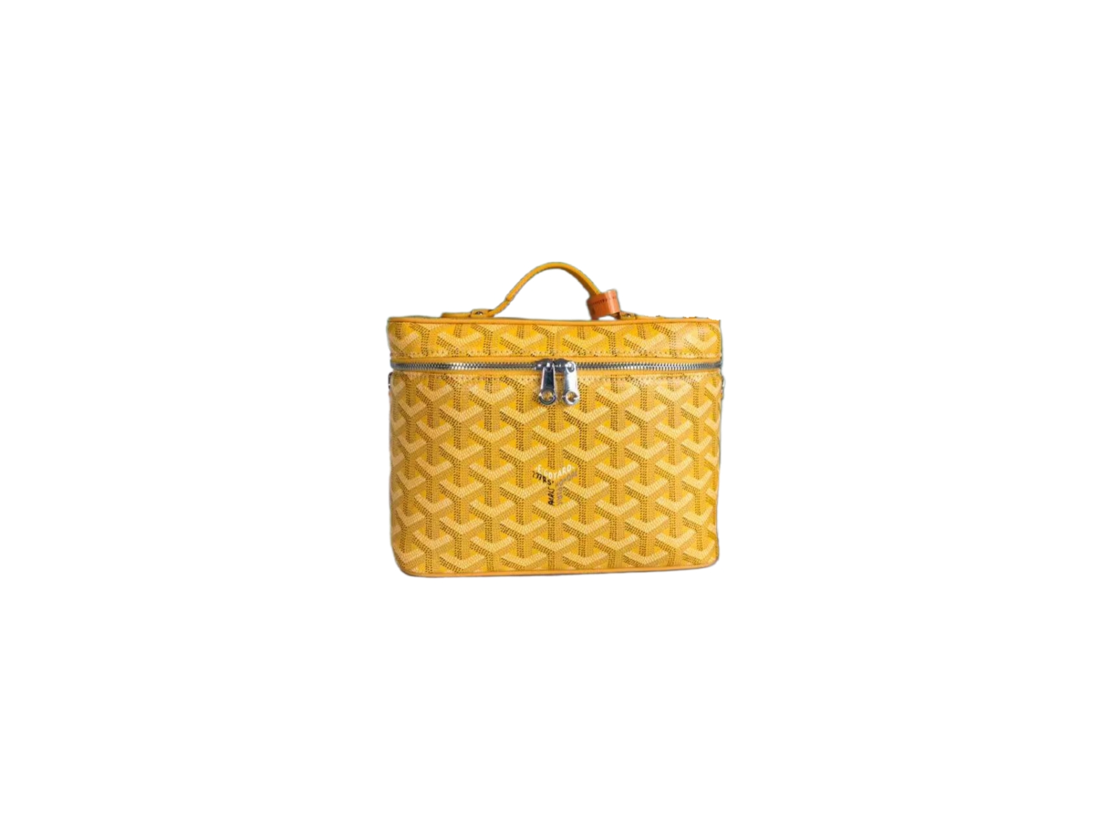 GOYARD_MUSE_VANITY_CASE_
