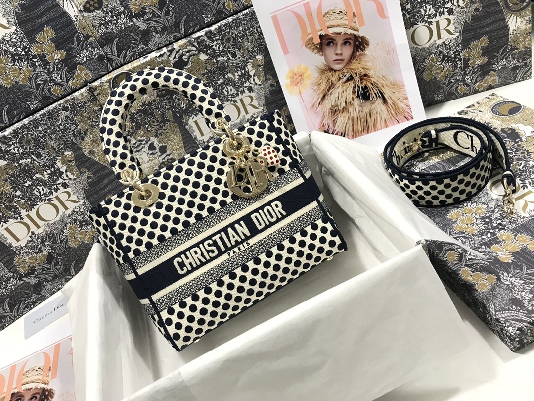 Lady_Diro_Handle_Bag-24C