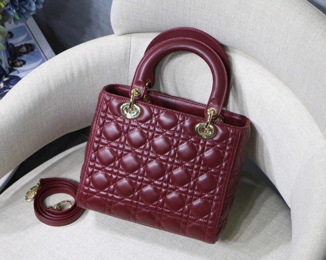 Lady_Diro_Handle_Bag-24C