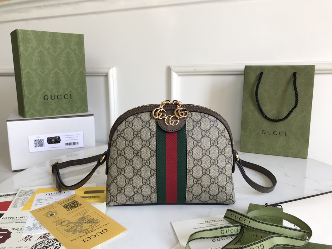 Gucci_Ophidia_Bag-24_19_
