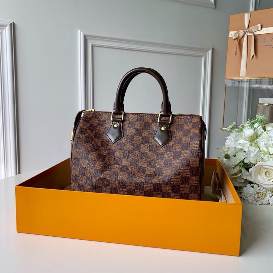 Louis_Vuitton_Speedy_25-