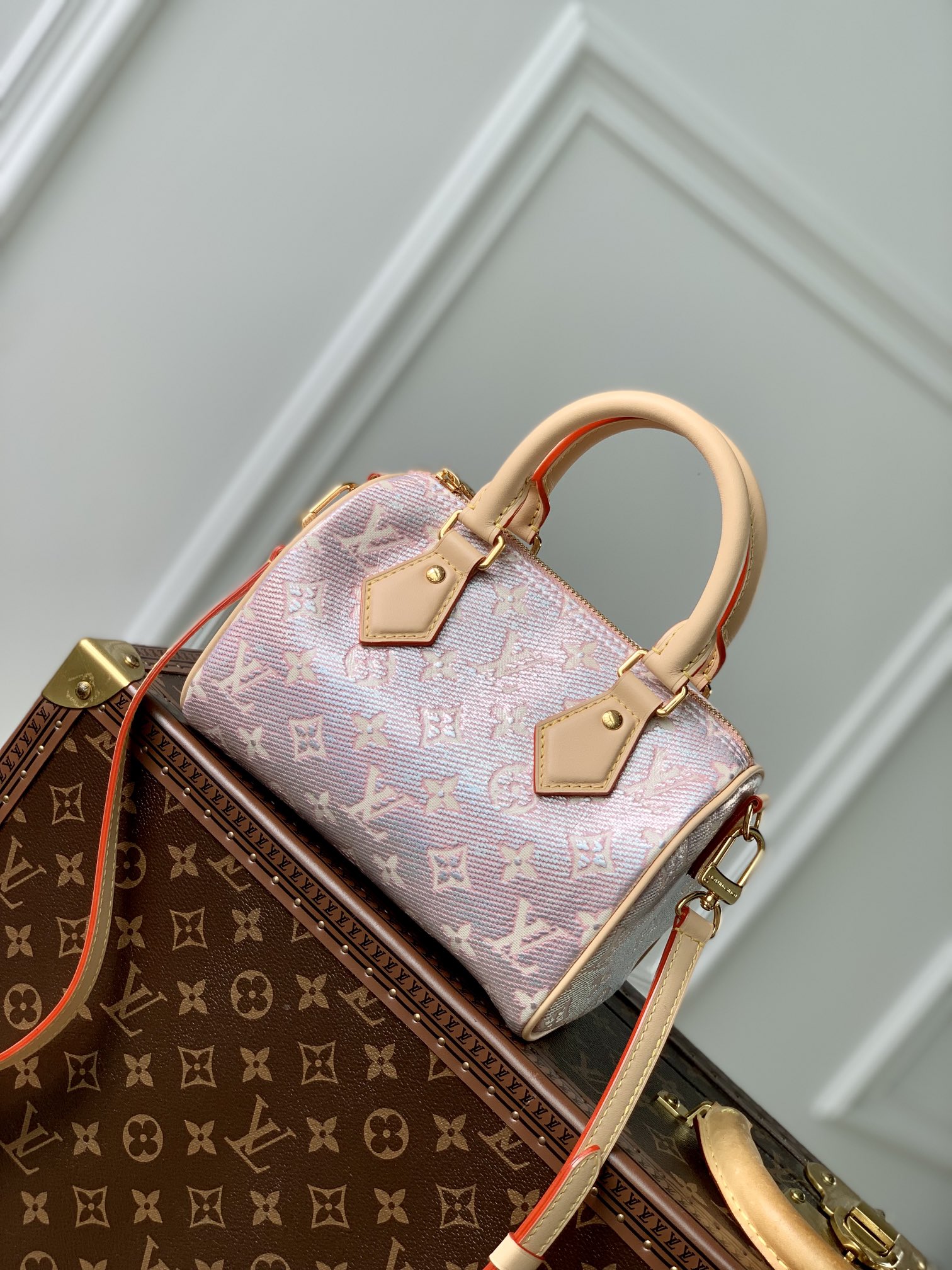 Louis_Vuitton_Speedy_Ban