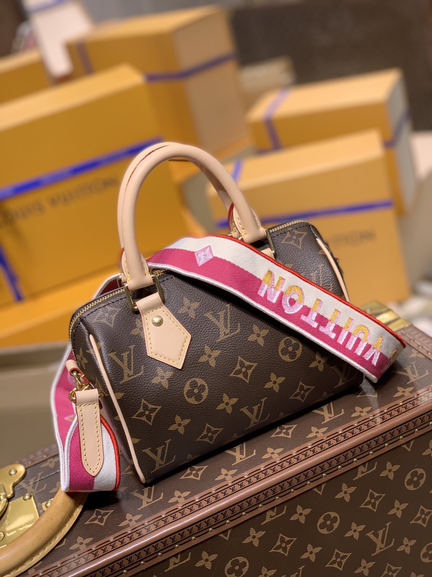 Louis_Vuitton_Speedy-M41