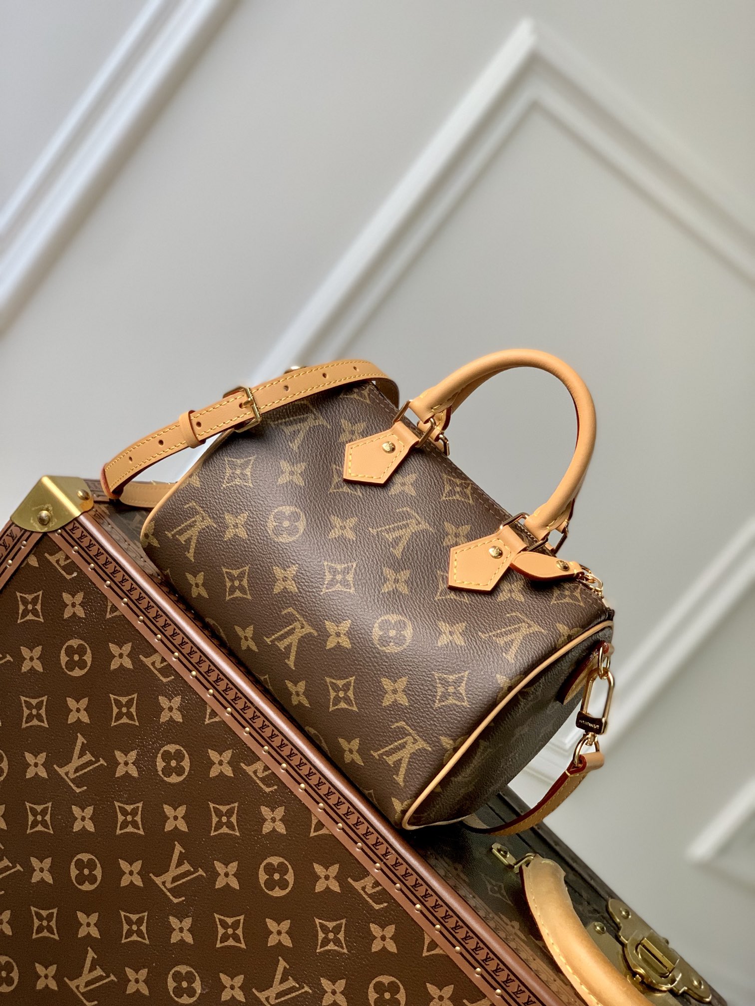 Louis_Vuitton_Speedy_Ban